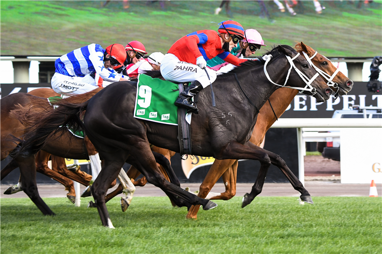 VERRY ELLEEGANT winning the Tab Turnbull Stks.