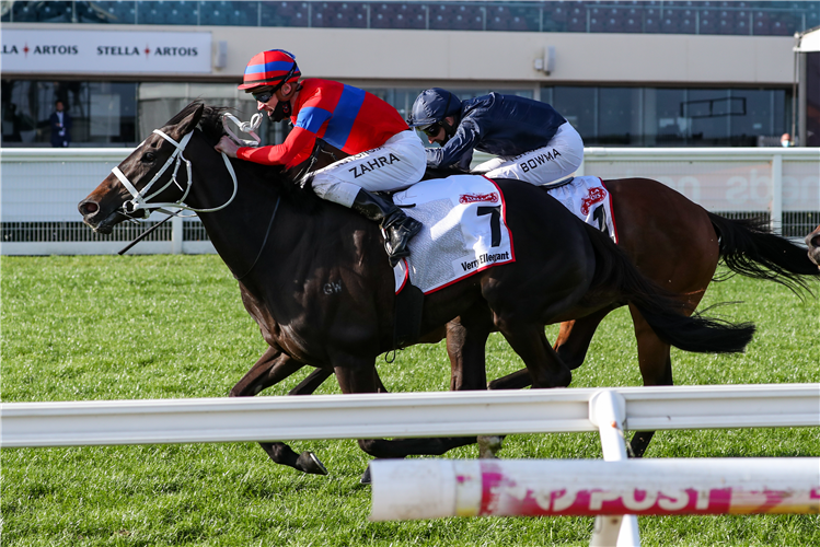 VERRY ELLEEGANT winning the Stella Artois Caulfield Cup at Caulfield in Australia.