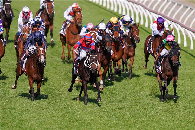 Verry Elleegant (centre) and Anthony Van Dyck fight out the Gr.1 Caulfield Cup (2400m).