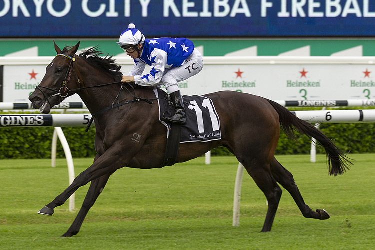 VILLAMI winning the Tokyo City Keiba Fireball Stks