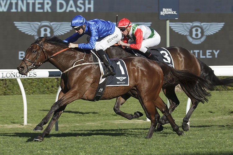 VIRIDINE winning the Bentley Winter Dash