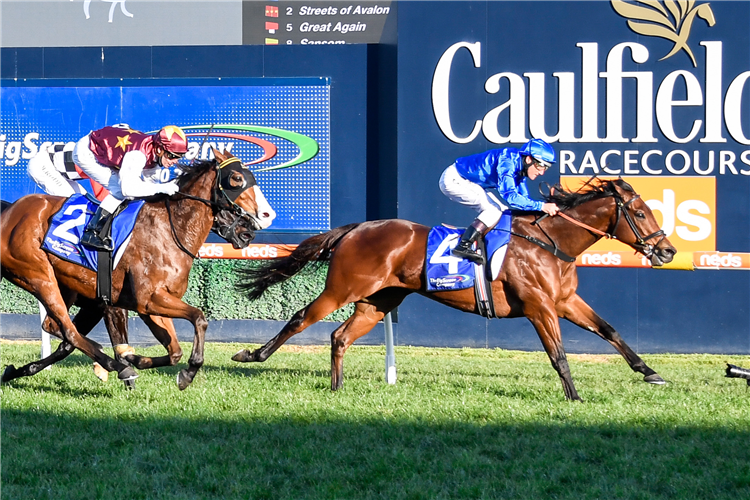 VIRIDINE winning the Big Screen Company Bletchingly Stakes in Caulfield, Australia.