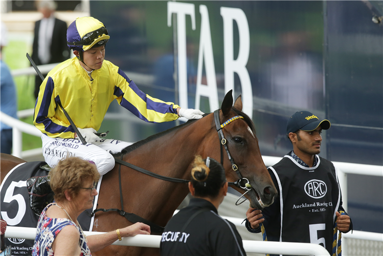 Apprentice Taiki Yanagida aboard the Lance O’Sullivan and Andrew Scott-trained Voler Pour Moi