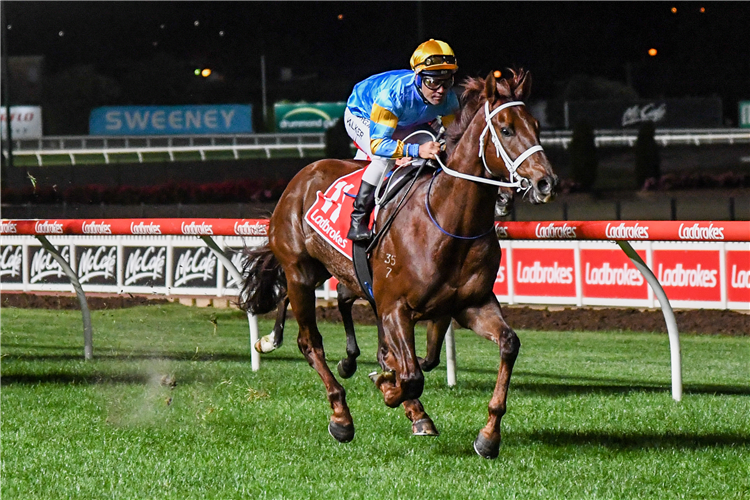 VOWMASTER winning the Ladbrokes Blended Multi Handicap at Moonee Valley in Moonee Ponds, Australia.