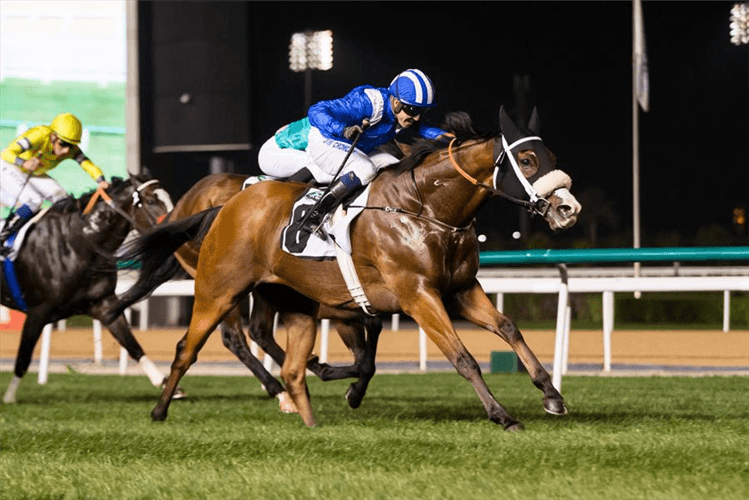 WAADY winning the Meydan Sprint Sponsored By Land Rover