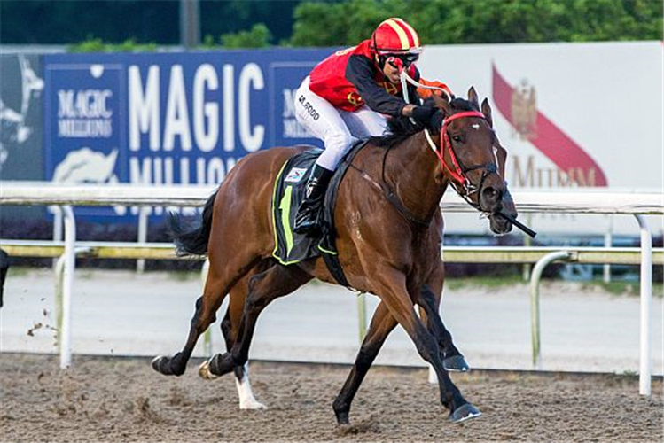 WAR FRONTIER winning the RESTRICTED MAIDEN