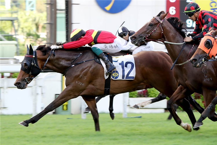 WATER DIVINER winning the Lantau Island Hcp.