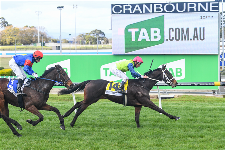 WERTHEIMER winning the TAB Long May We Play Maiden Plate in Cranbourne, Australia.