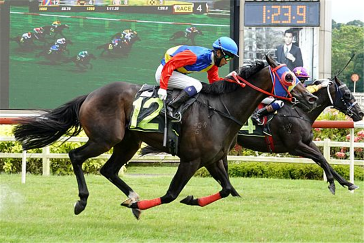 WHISTLE GRAND winning the LIM?S RACER 2016 STAKES CLASS 4