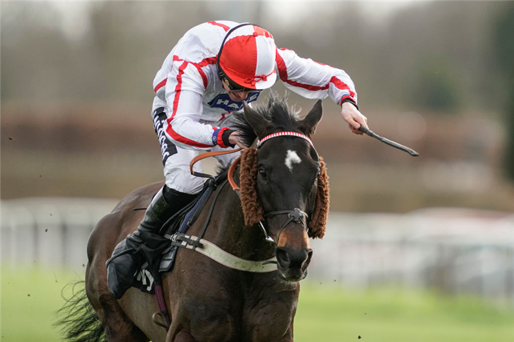 WHO DARES WINS winning the Betway Pendil Novices' Chase at Kempton Park in Sunbury, England.