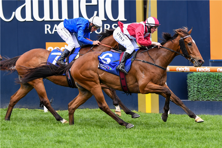 WINDSTORM winning the Big Screen Co. Weekend Hussler at Caulfield in Australia.