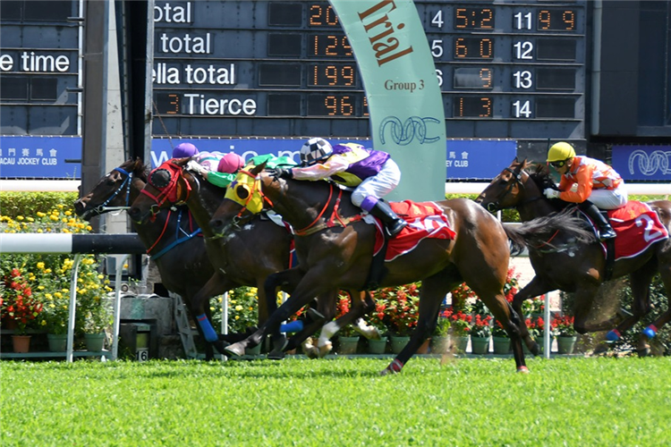 WINNIE STAR(out side) winning the MACAU DERBY TRIAL (GROUP 3)