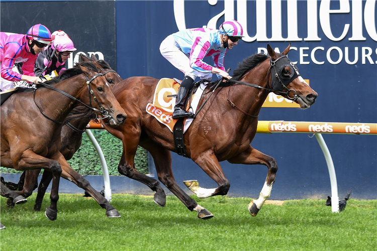 WISE COUNSEL winning the Longboard Account. For Mirabel Hcp at Caulfield in Australia.