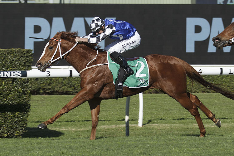 First 100M Is Vital For HatTrick Seeking Witherspoon Racing and Sports