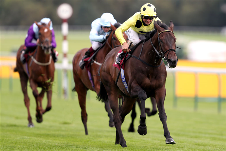 WITHOUT A FIGHT winning the Read Ryan Moore Columns On betting.betfair Handicap at Haydock Park in England.