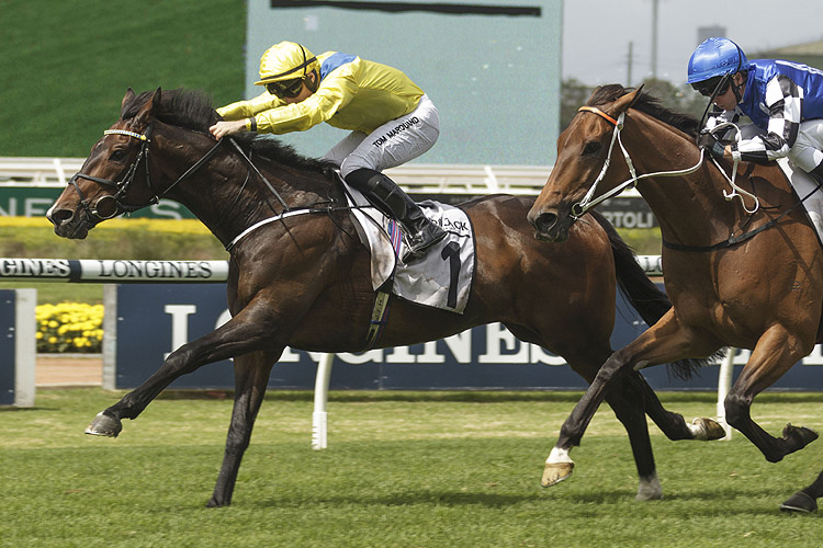 YOUNG RASCAL winning the Iron Jack N.E. Manion Cup