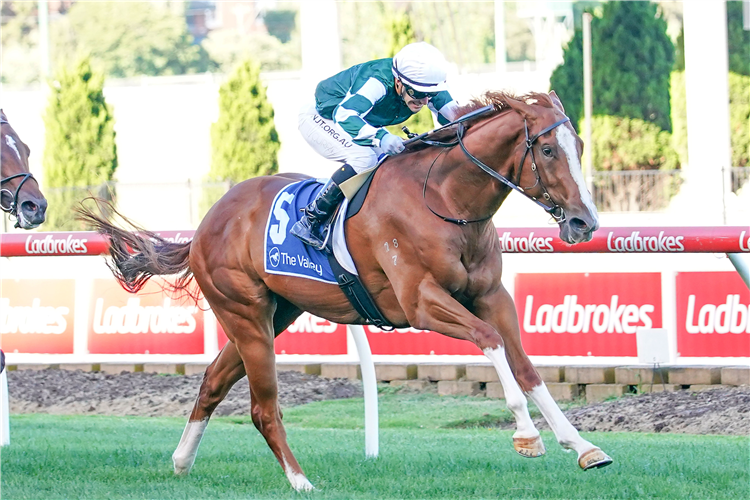 YULONG COMMAND winning the MVRC Membership On Sale Now Handicap at Moonee Valley in Moonee Ponds, Australia.