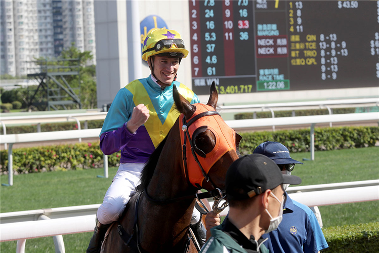 Antoine Hamelin has nine wins to his name from 81 rides.