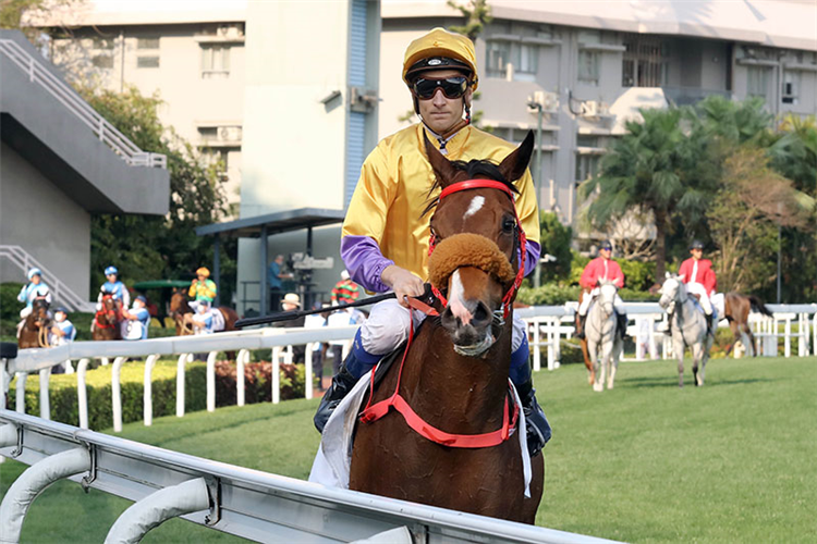 Blake Shinn is about to be headed late in the BMW Hong Kong Derby.