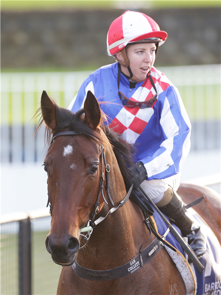 Shoshone and rider Sam Collett after winning the last race at Ellerslie on Saturday
