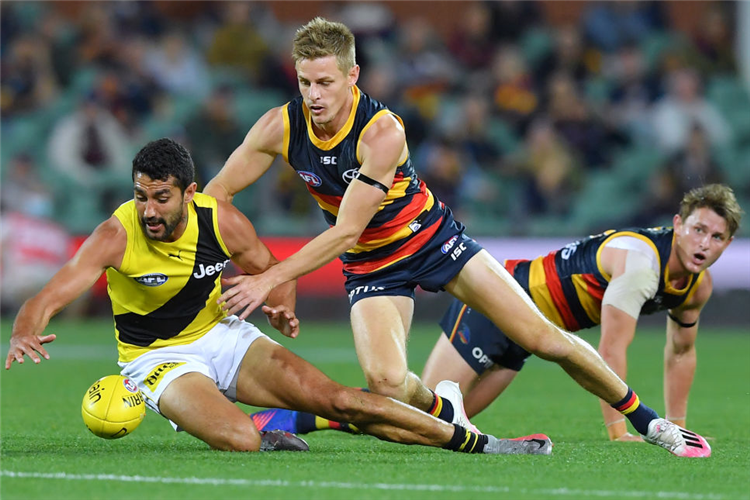 AFL match between the Adelaide Crows and the Richmond Tigers.