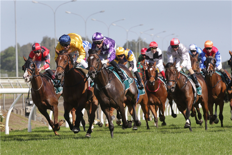 Thoroughbred Racing will now resume at Pukekohe on Saturday June 20