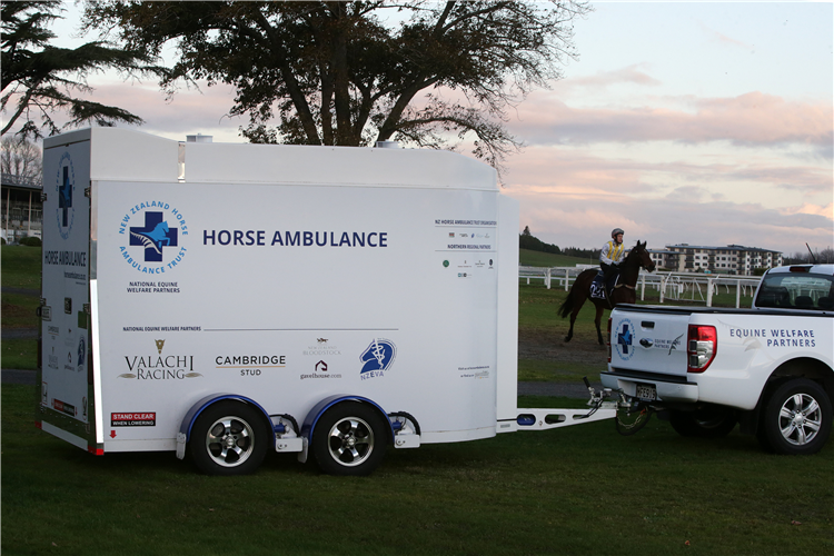 A horse ambulance was present at the Te Rapa trials on Tuesday.