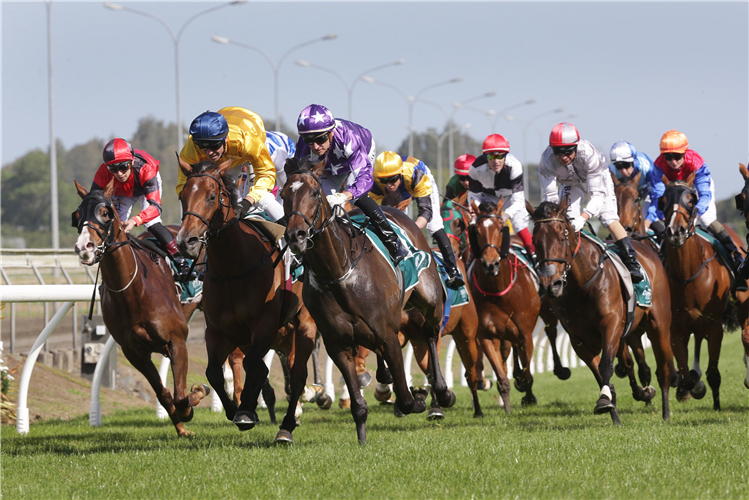 New Zealand Racing