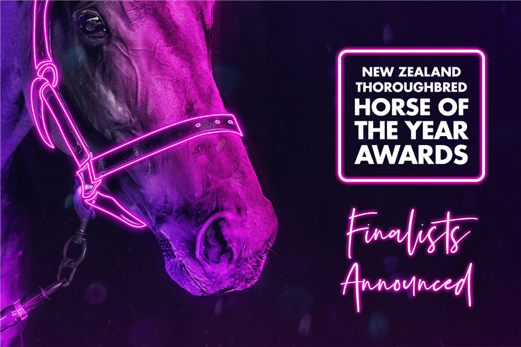 New Zealand Thoroughbred Horse Of The Year Awards