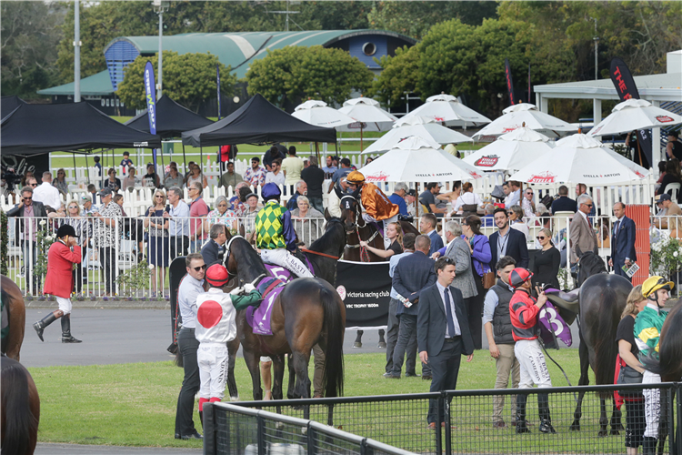 Ellerslie is likely to become the racing focal point of the Auckland region under a proposed merger.