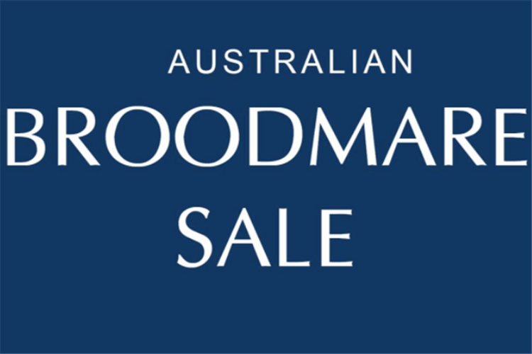 Australian Broodmare Sale.