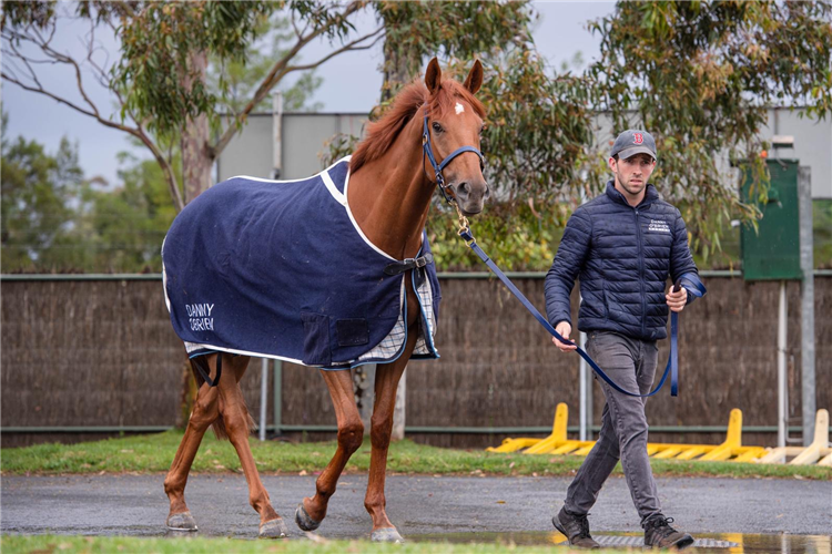 Ben Gleeson - Assistant trainer