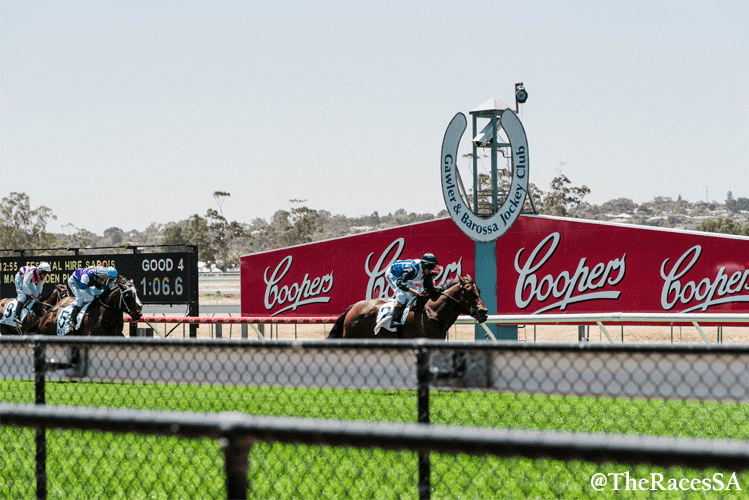 Racecourse : Gawler.