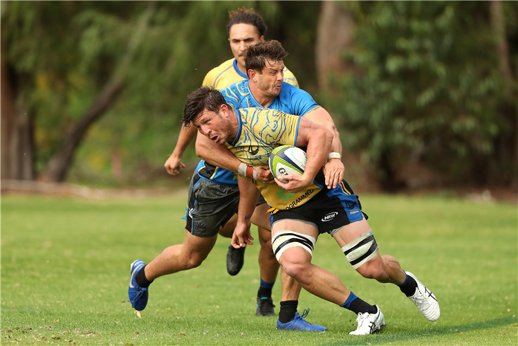 BRYNARD STANDER in action during a Western Force Super Rugby training session at UWA Sports Park in Perth, Australia.