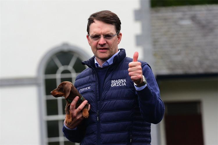 Trainer : Aidan O'Brien.