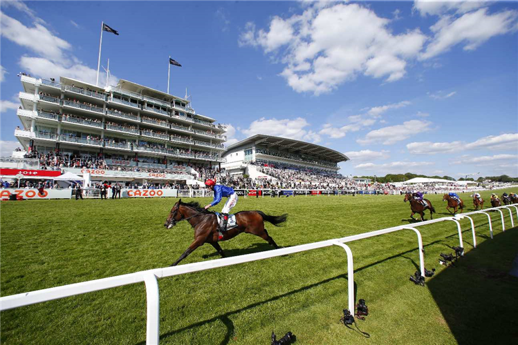 ADAYAR winning the Derby.