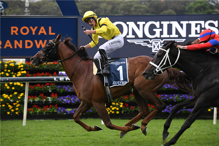 ADDEYBB winning the Queen Elizabeth Stakes at Randwick in Australia.