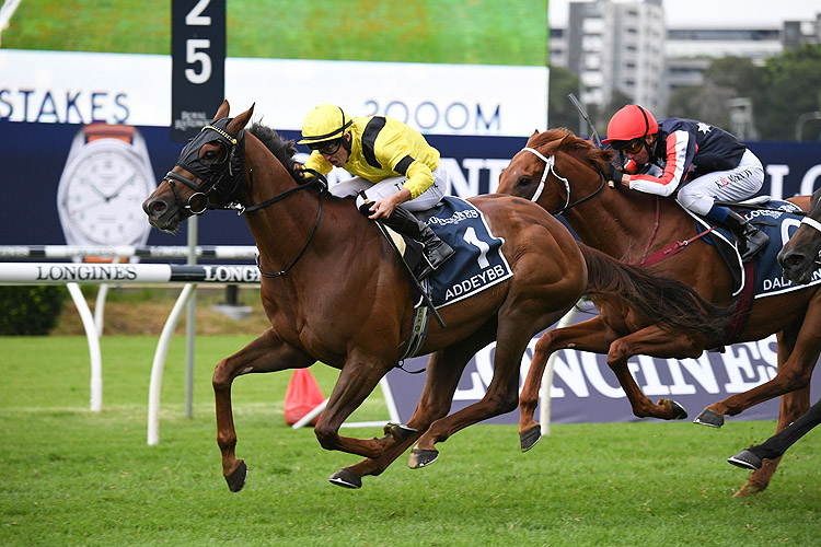 「阿迪布」胜出澳洲的女皇伊丽莎白锦标赛