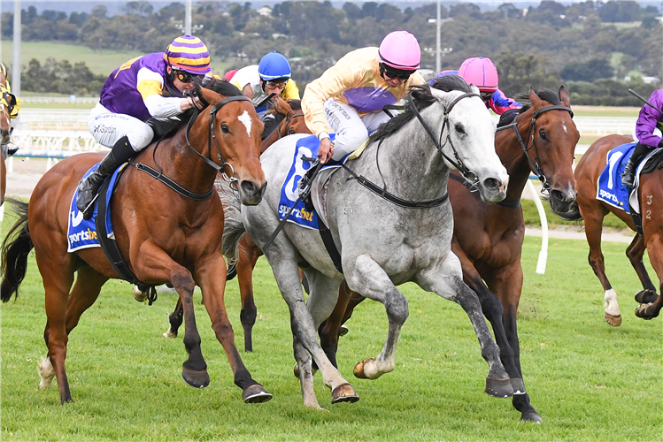 australian horse racing tips