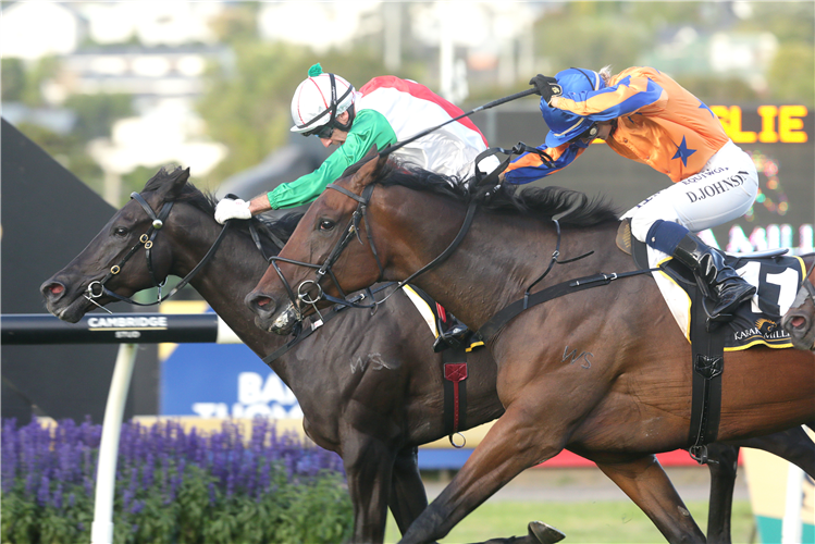 Leith Innes gets the best out of Aegon (inner) at Ellerslie