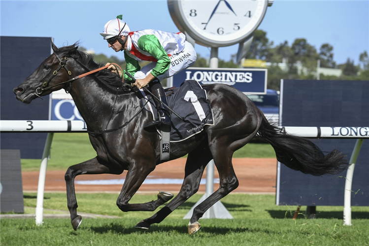 AEGON winning the City Tattersalls Hobartville