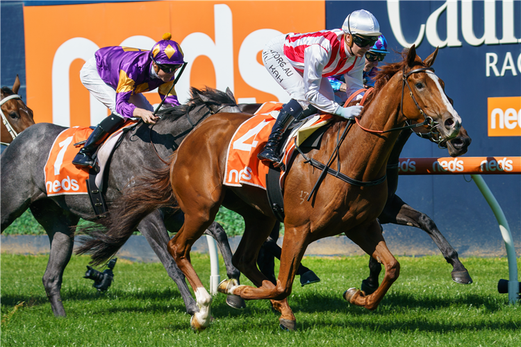 AGREEABLE winning the Bill Collins Hcp at Caulfield in Australia.