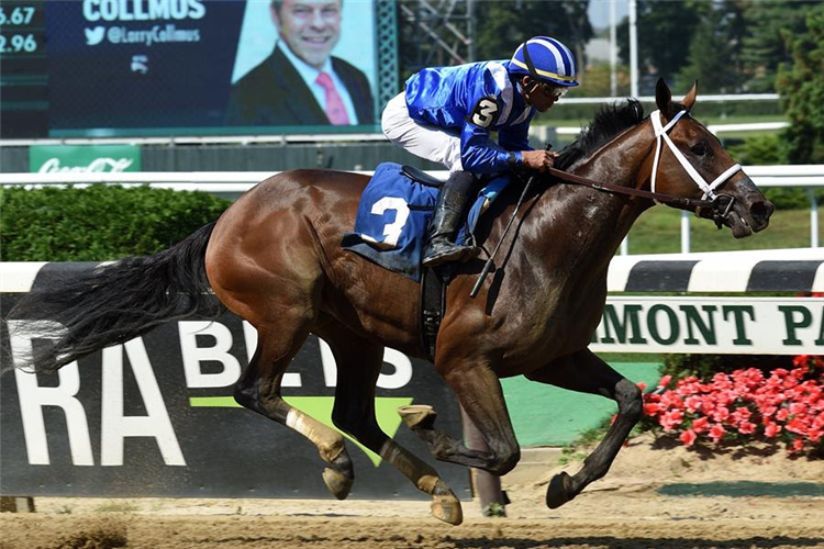 Ajaaweed wins his debut at Belmont Park