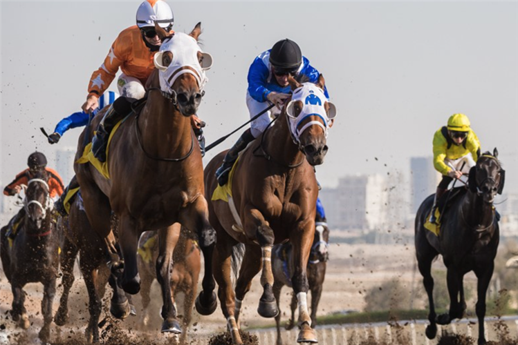 AL TARIQ winning the Jebel Ali Sprint Sponsored By Shadwell