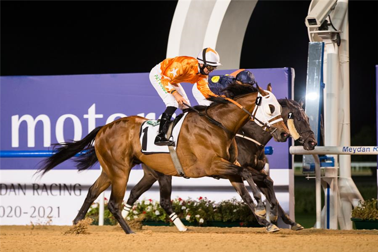 AL TARIQ winning the Al Shindagha Sprint Sponsored By New Land Rover Defender