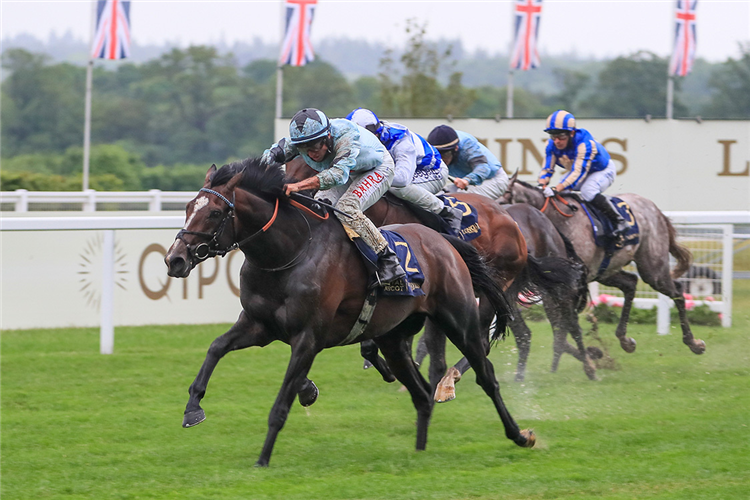 ALENQUER winning the King Edward VII Stakes (Group 2)