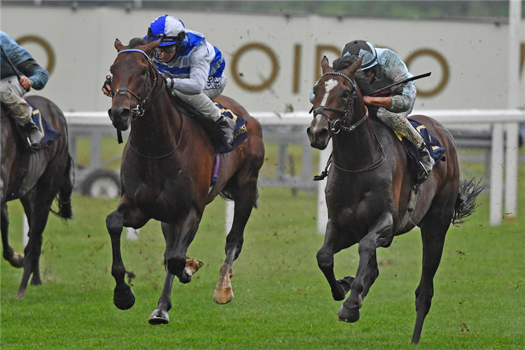 ALENQUER(right) winning the King Edward VII Stakes (Group 2)
