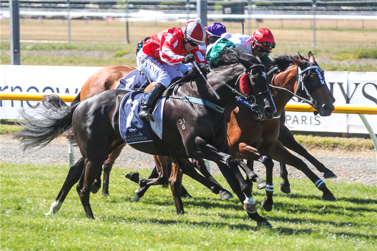 ALL ABOUT MAGIC winning the Speight's Timaru Stakes