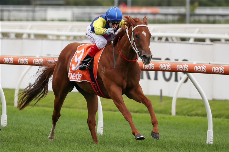 ALL BANTER winning the Neds W.J. Adams Stakes in Caulfield, Australia.