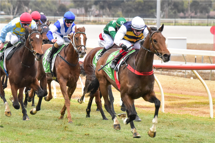 ALMSGIVER winning the The Bottle O Swan Hill Mdn at  Swan Hill in Australia.